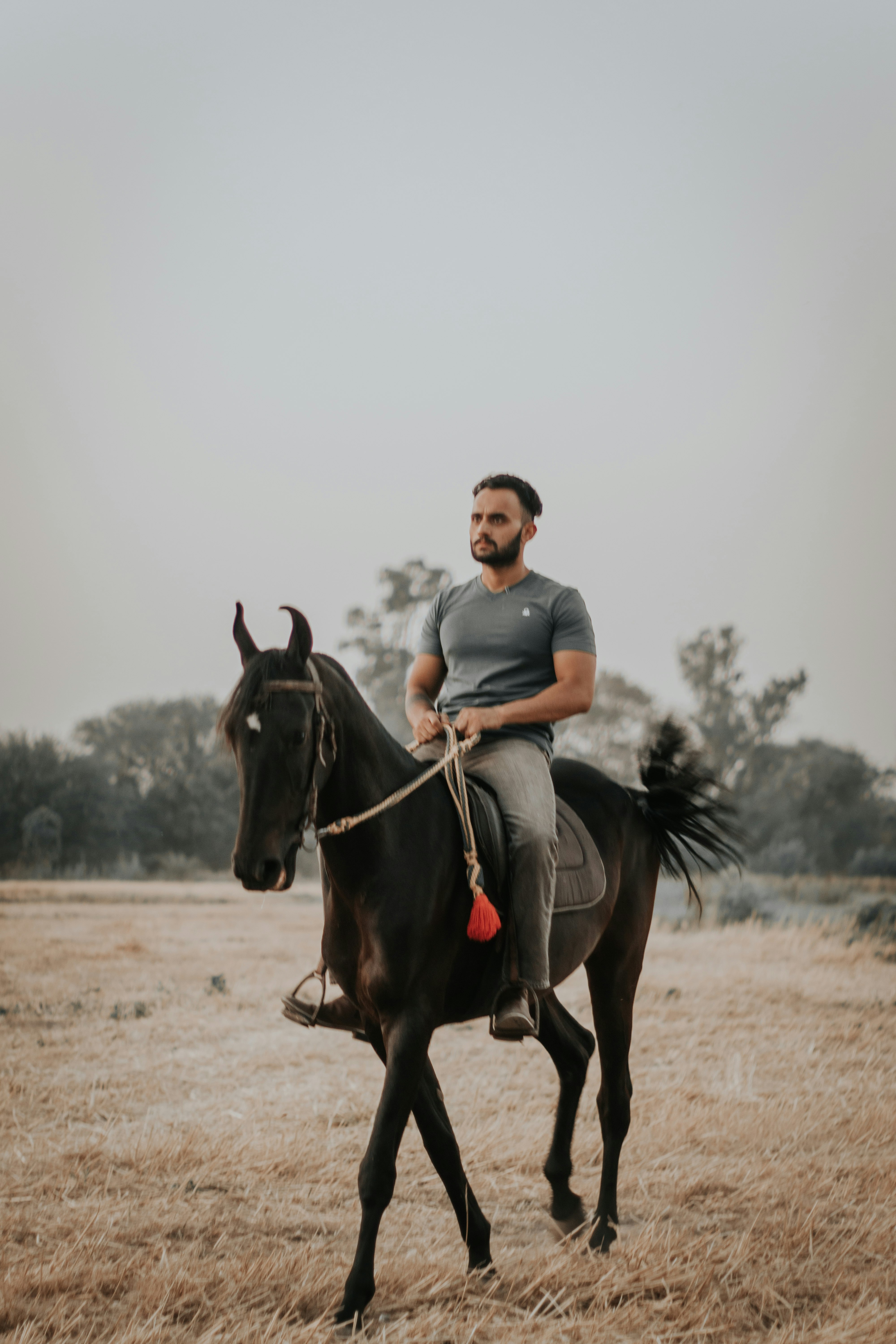 man in blue crew neck t-shirt riding black horse during daytime